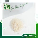 Mủ Trôm Sạch Trọng Hưng Size Hạt Gạo 250g - Không Chất Bảo Quản