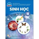 Sinh Học 11 - Chân Trời Sáng Tạo