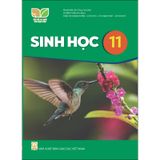 Sinh Học 11  - Kết Nối Tri Thức