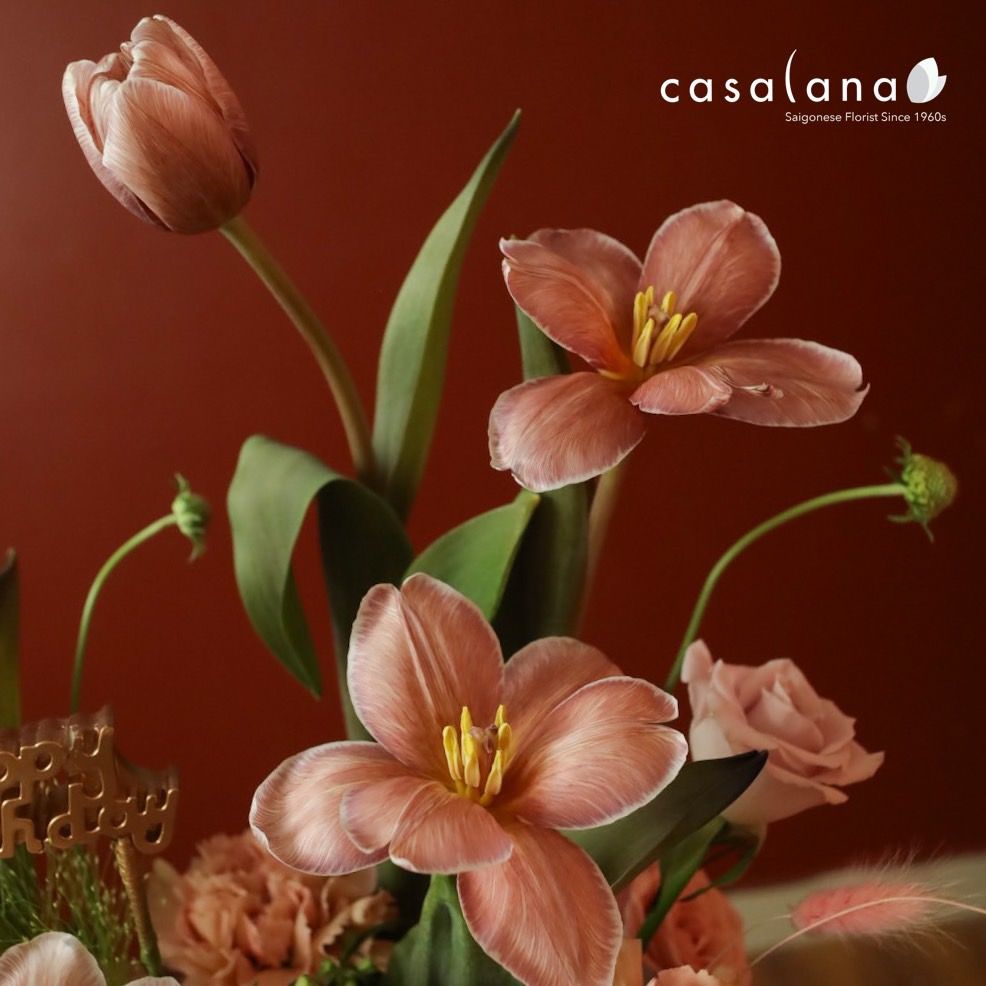 Flower Plate Late