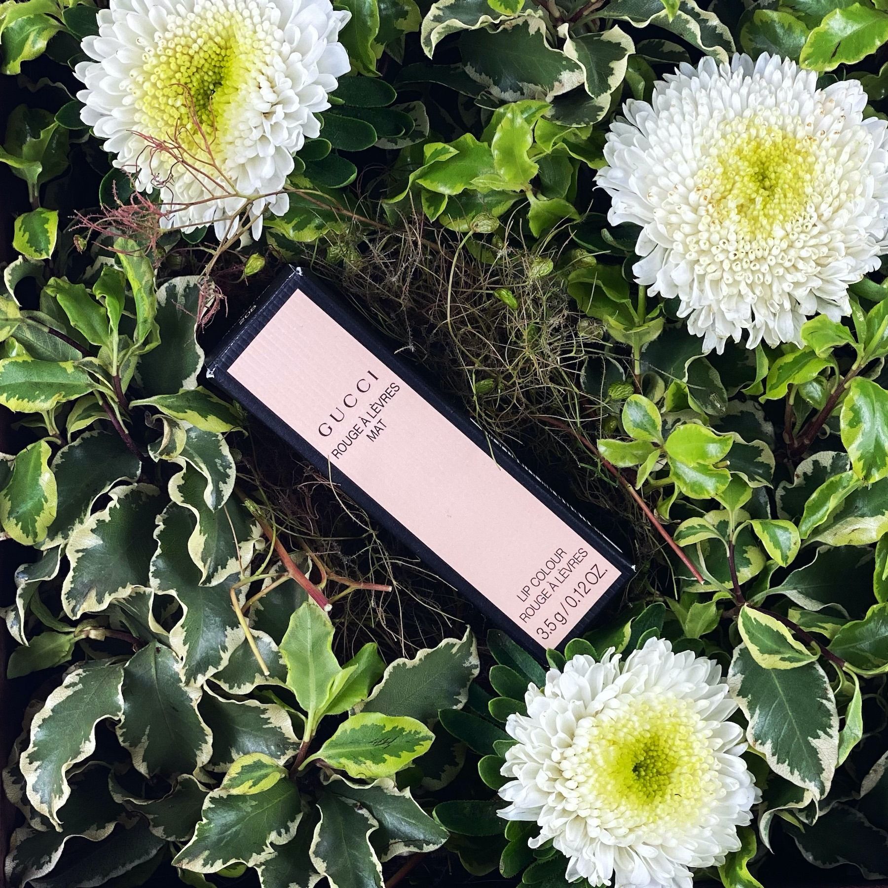 Thắm box hoa tươi và son Gucci