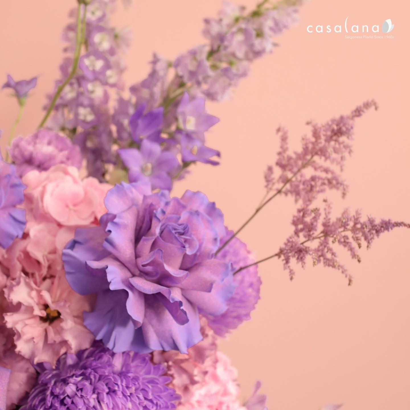 Blossom Love