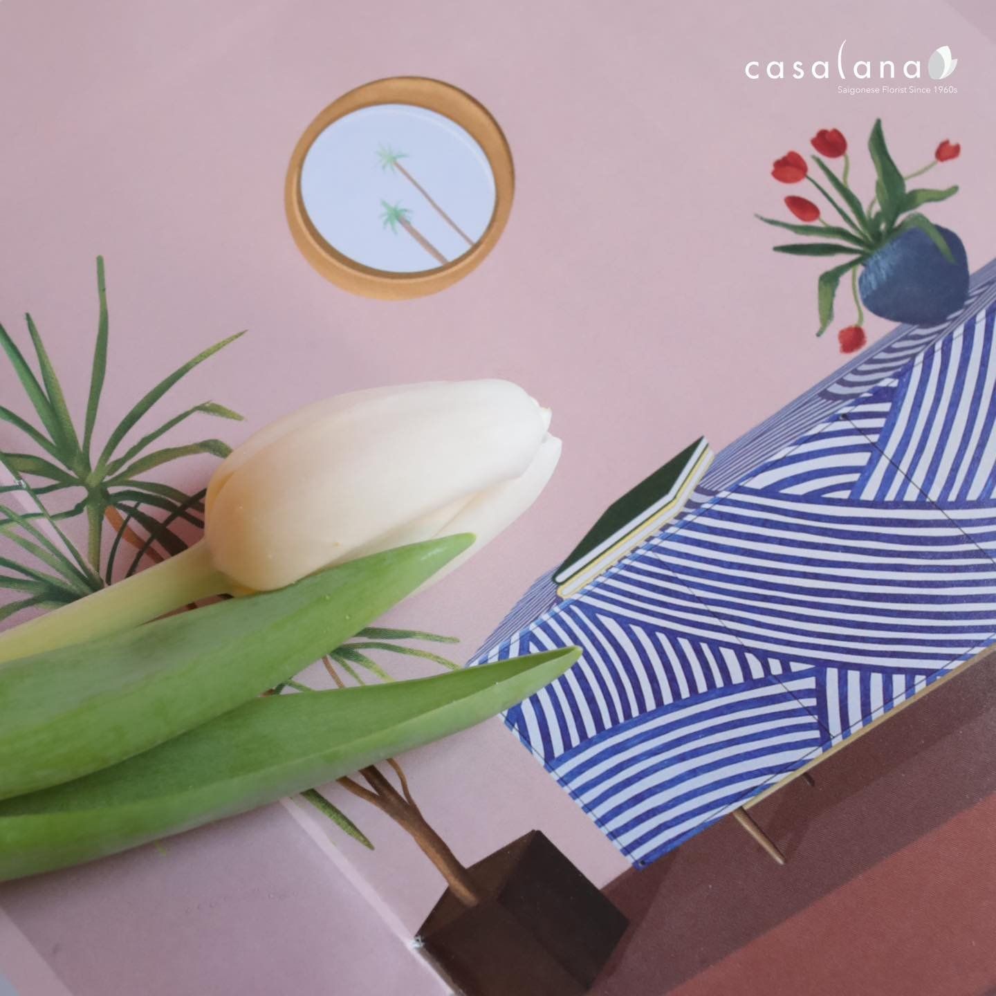 P-0158 Tulip Trắng 20