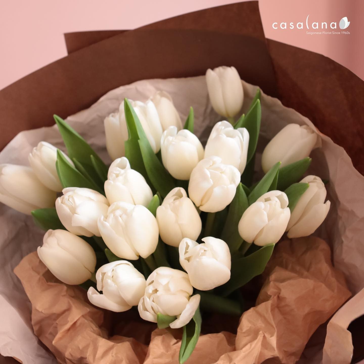 P-0158 Tulip Trắng 20