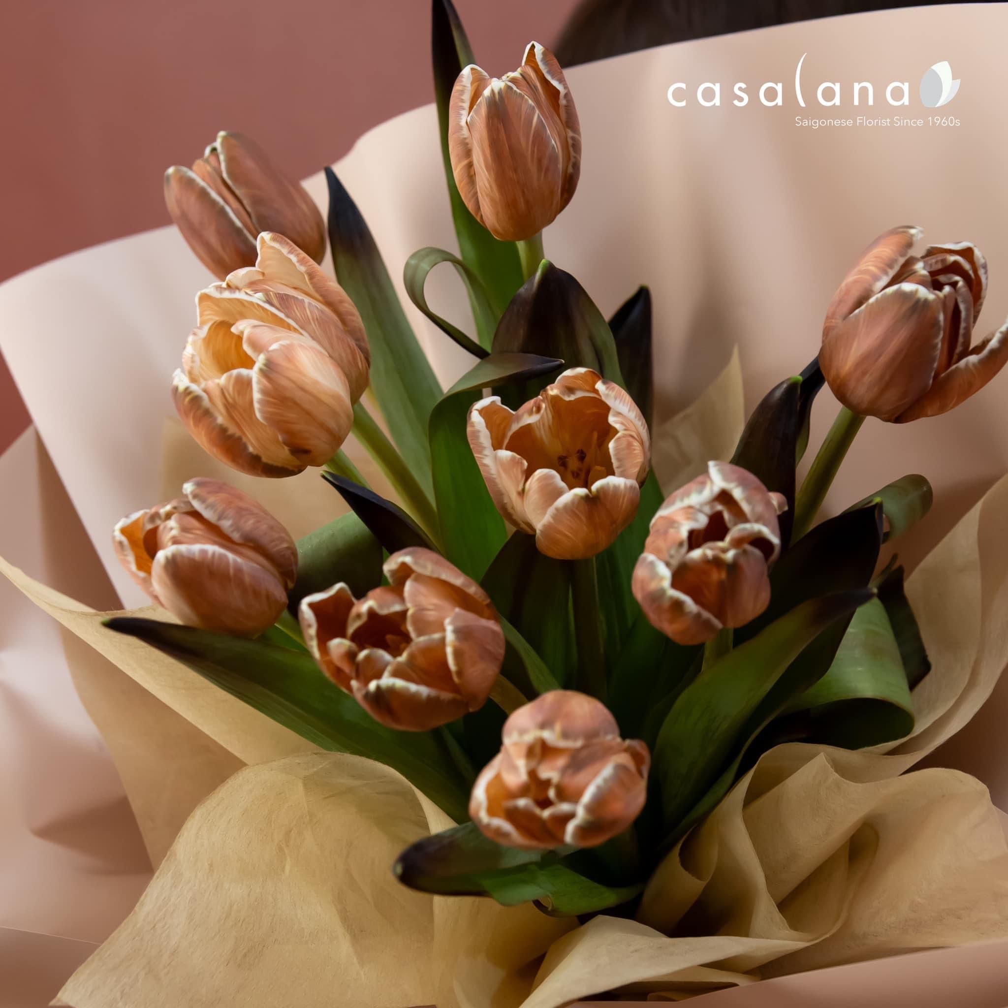 Bó Tulip Nhuộm Nâu 10