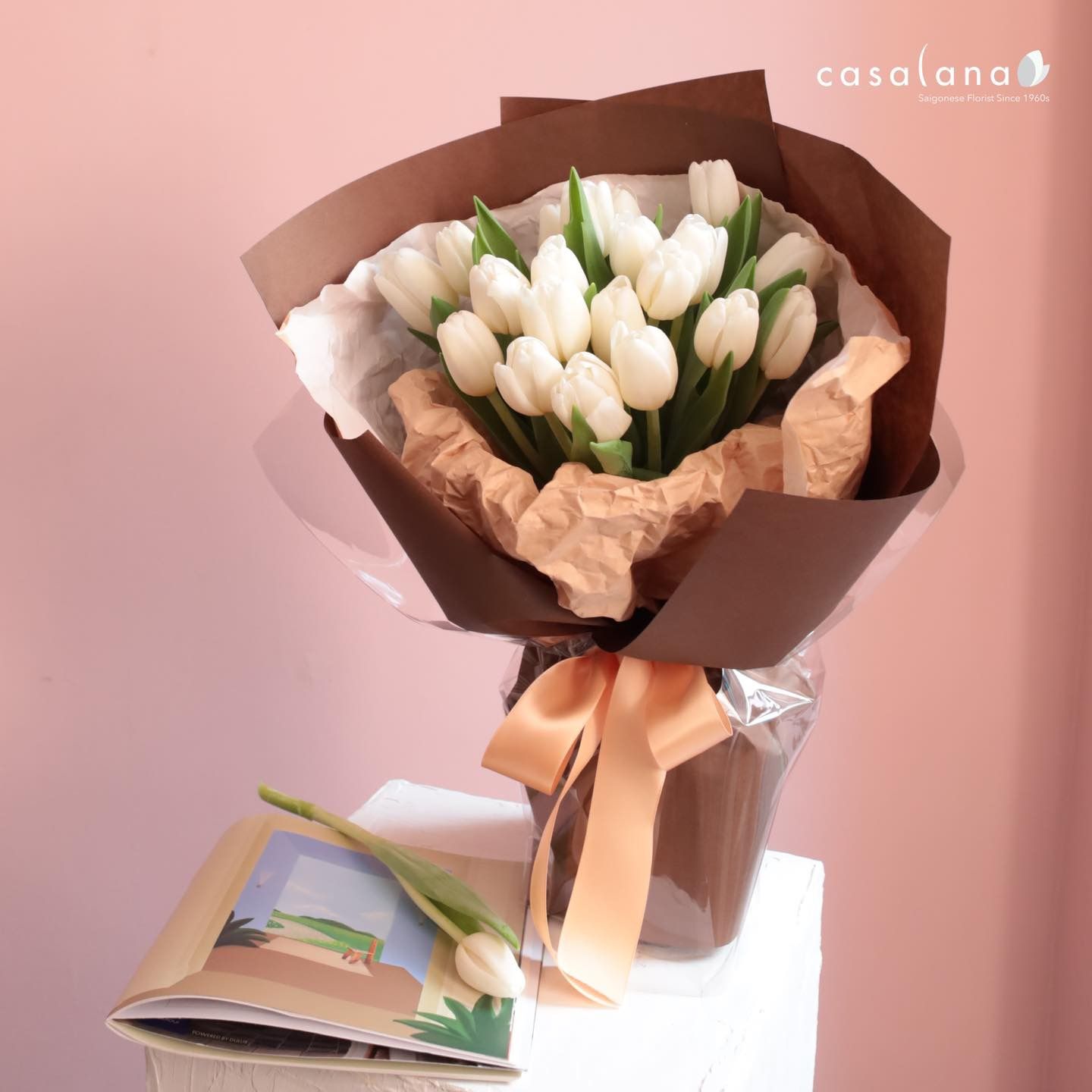 P-0158 Tulip Trắng 20