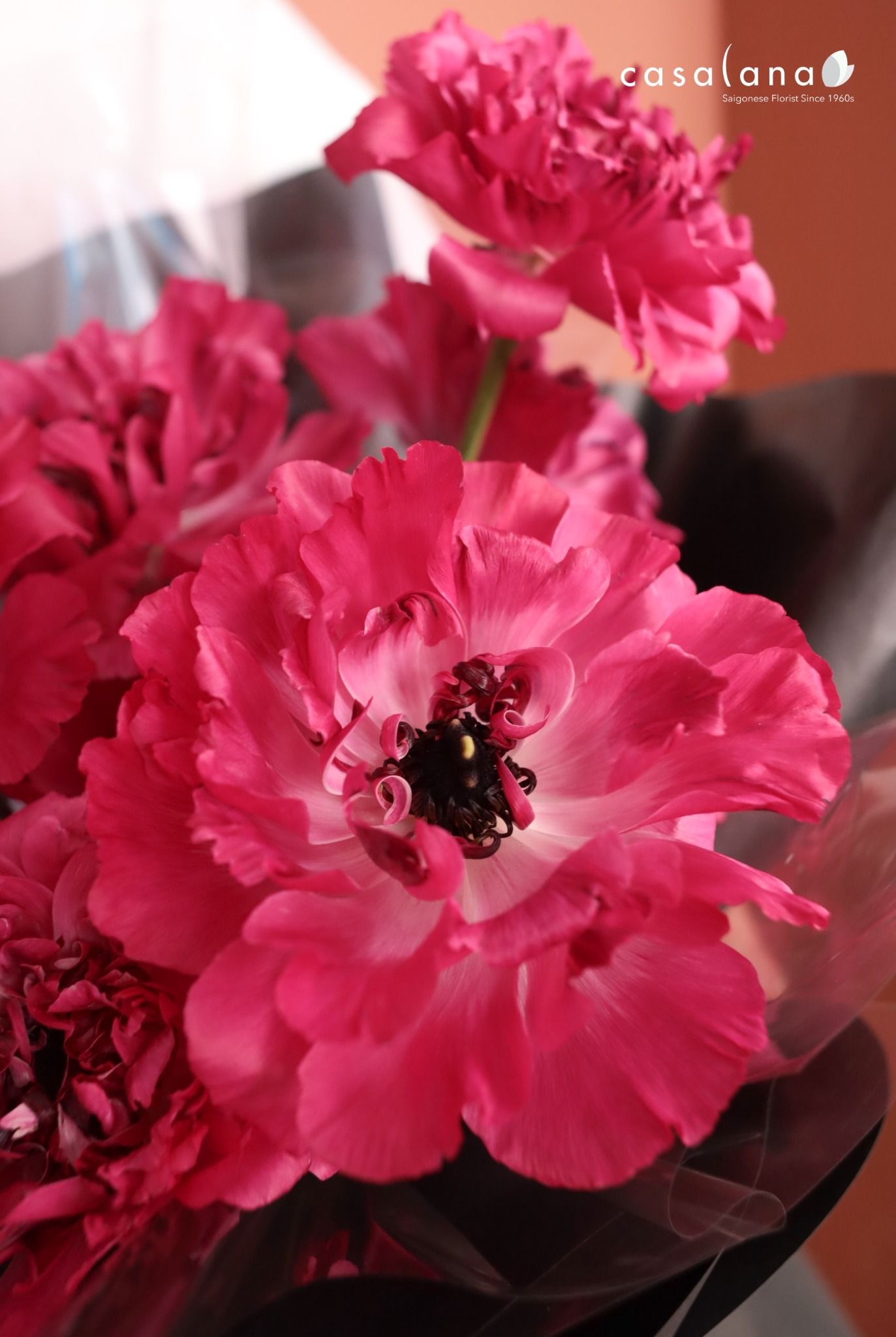 Charlotte Hot Pink 10