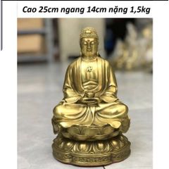 Tượng phật adida bằng đồng vàng cao 25cm ngang 14cm nặng 1,5kg