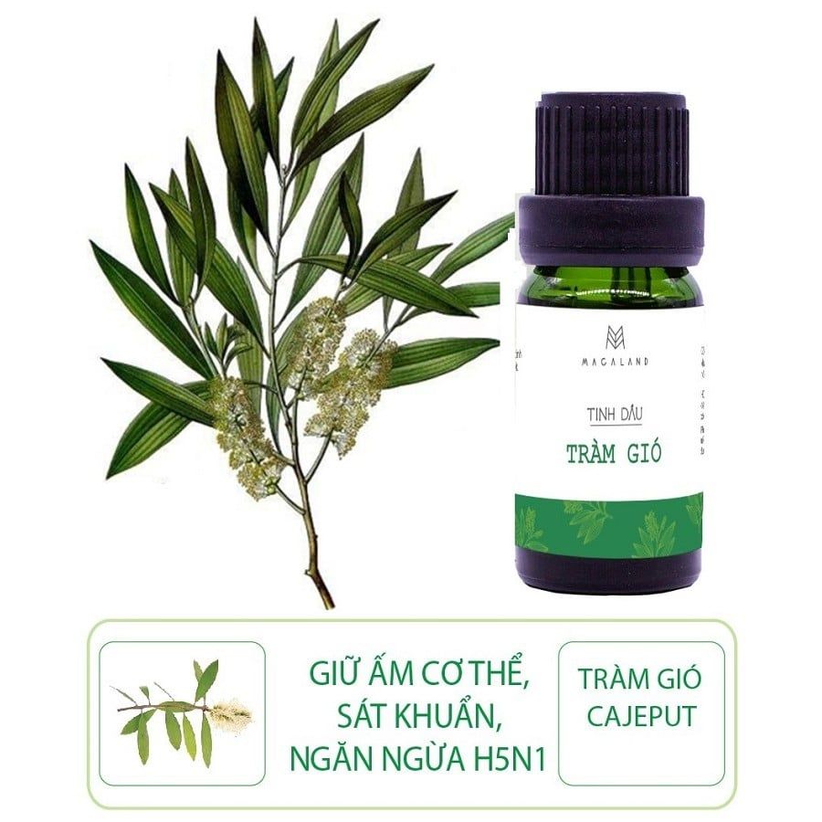MACALAND Tinh dầu tràm gió