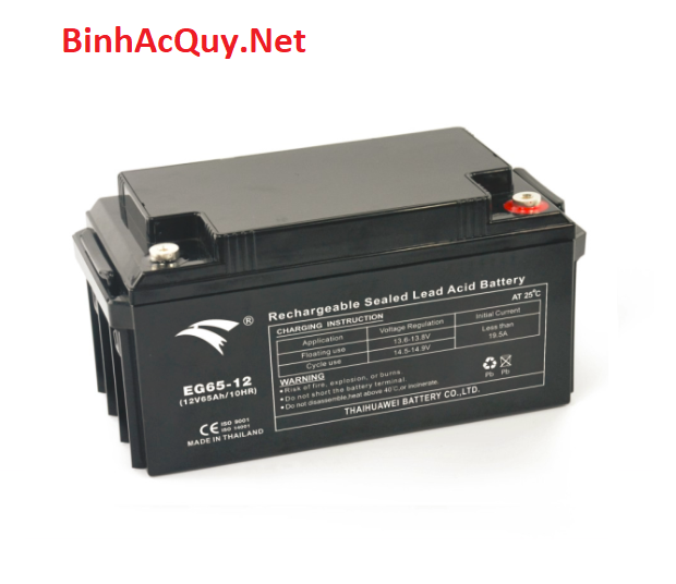  Ắc quy EG65-12 (12V-65AH) 