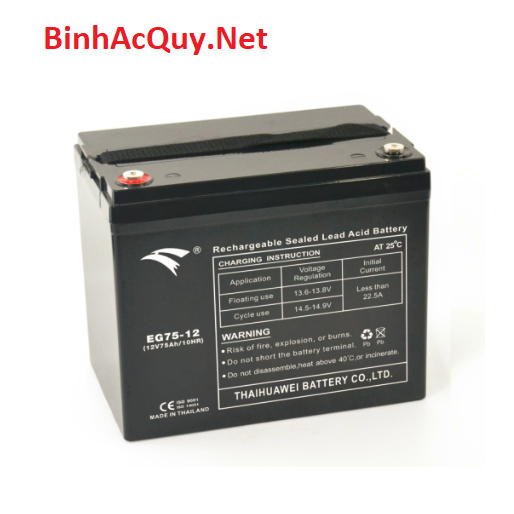  Ắc quy EG75-12 (12V-75AH) 