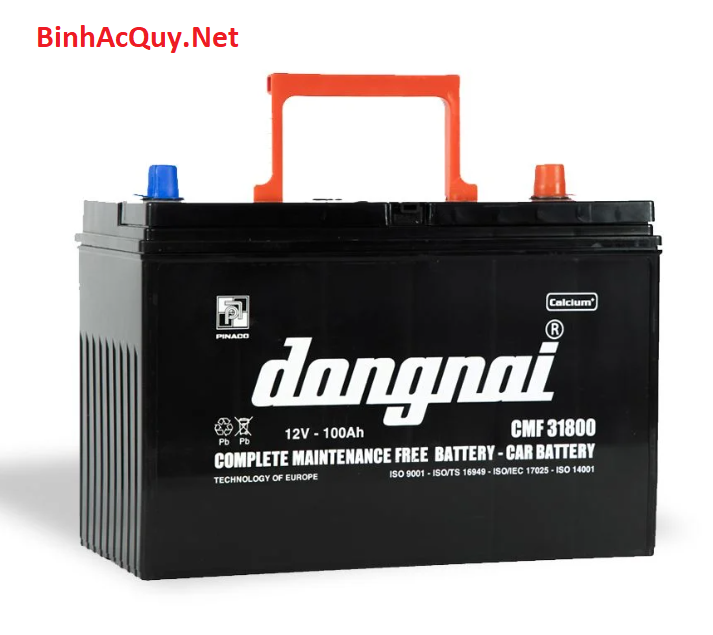 Bình ắc quy khô Đồng Nai 12V-100AH | Mã CMF 31800