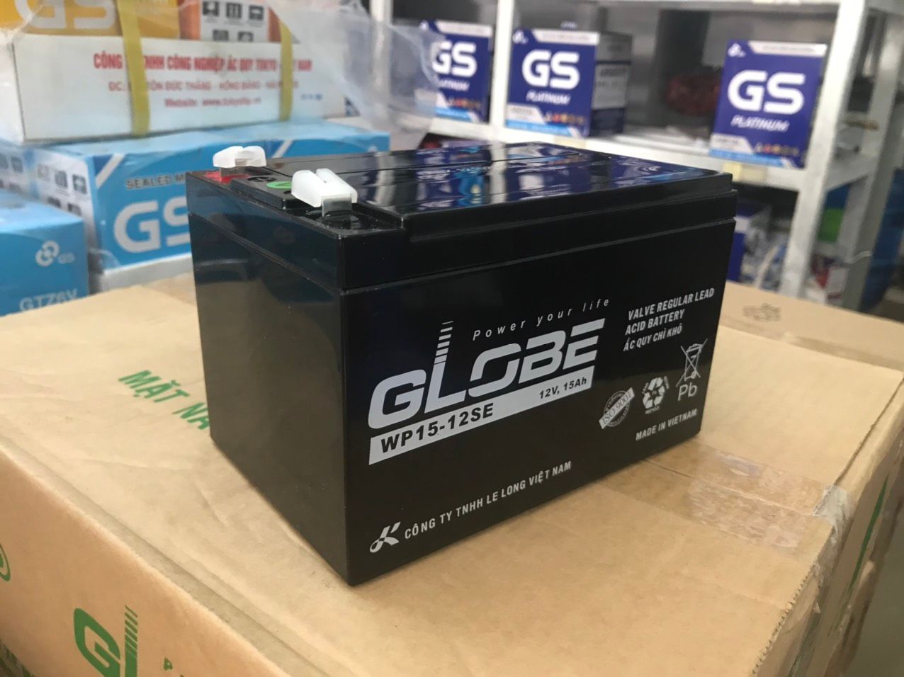 Bình ắc quy xe đạp điện Globe 12V-15AH | Mã WP15-12SE