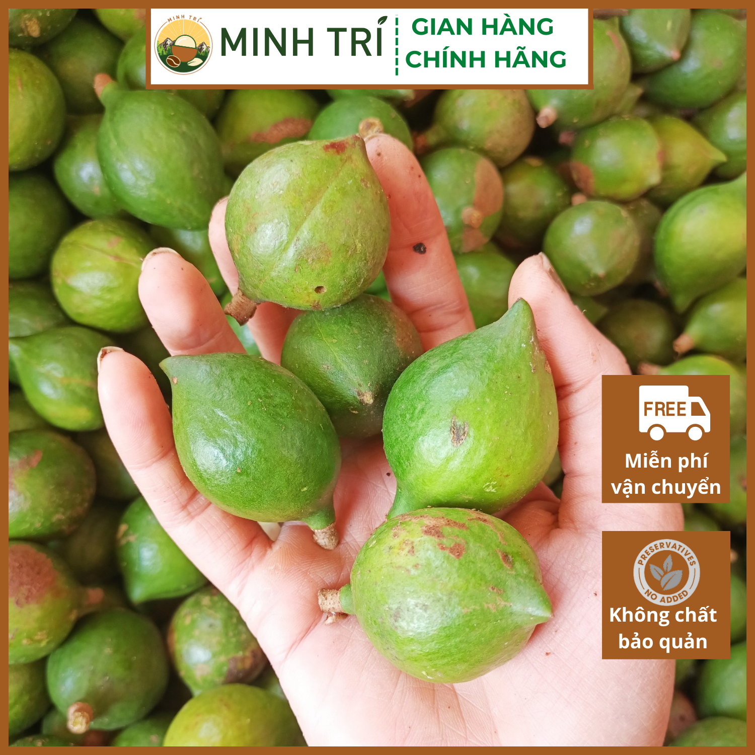 NHÂN MACCA - NGUYÊN HẠT - 500g
