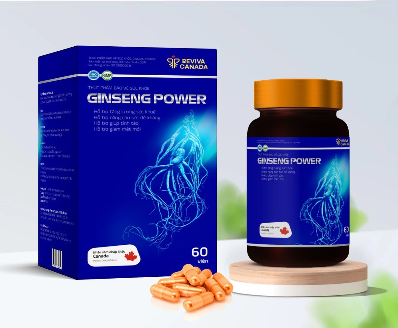 Viên uống Nhân sâm nguyên chất GINSENG POWER