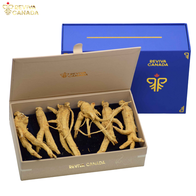 Nhân sâm Special Reviva Canada - Hộp Nguyên củ 100g