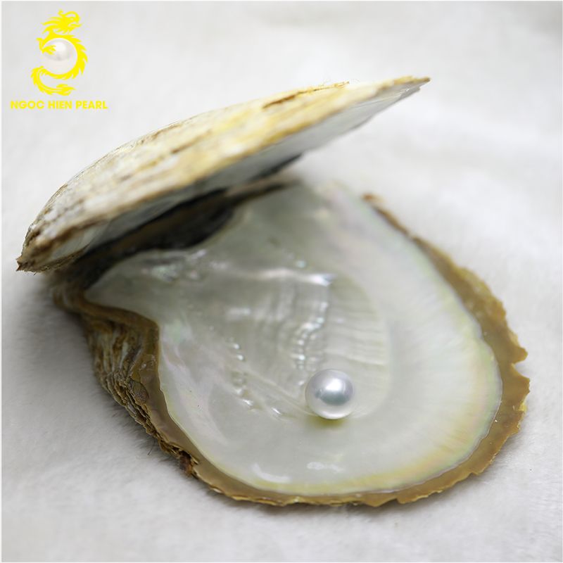Ngọc Trai Maxima _ SP0003