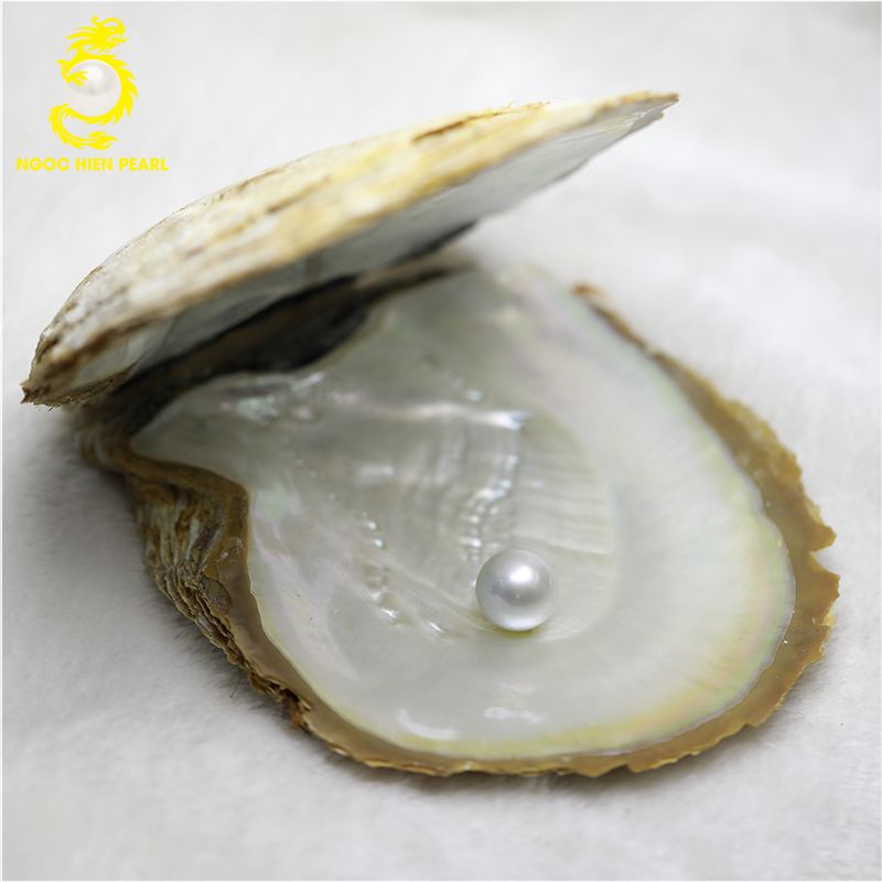 Ngọc Trai Maxima _ SP0005