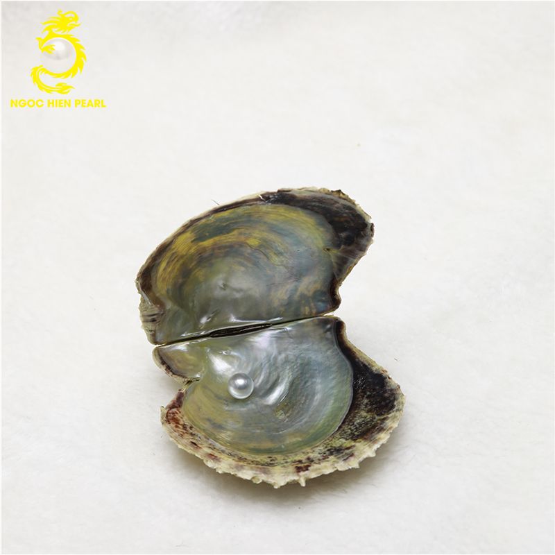 Ngọc Trai Akoya _ SP0006