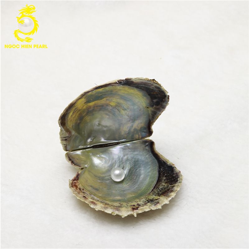 Ngọc Trai Akoya _ SP0007