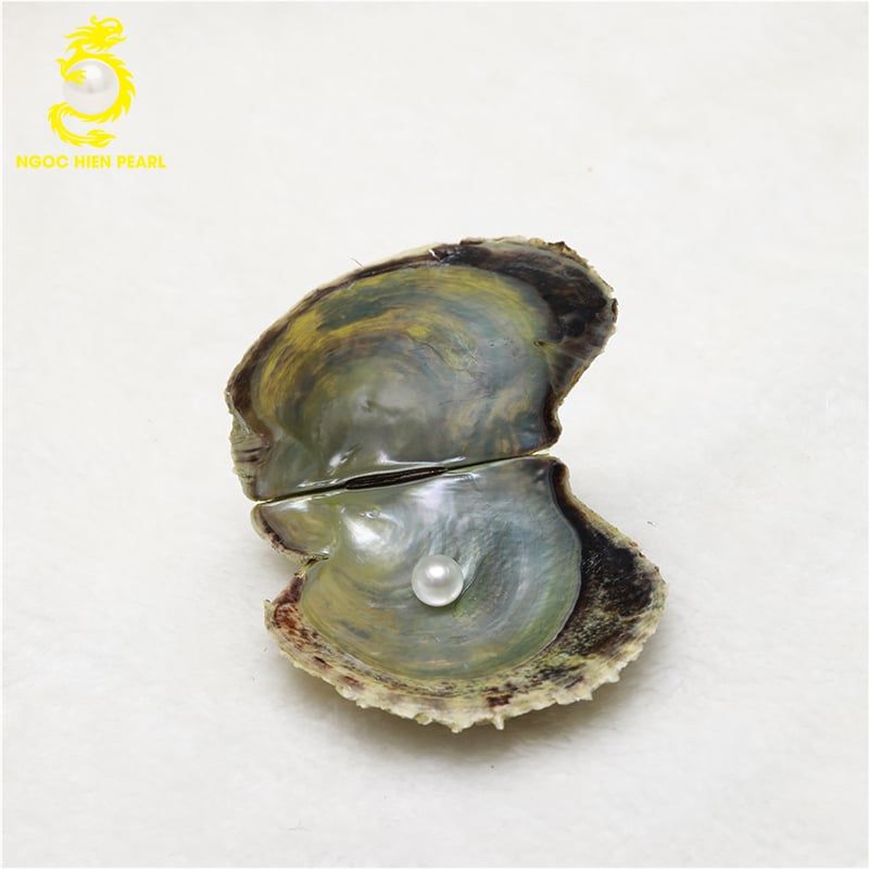 Ngọc Trai Akoya _ SP0008