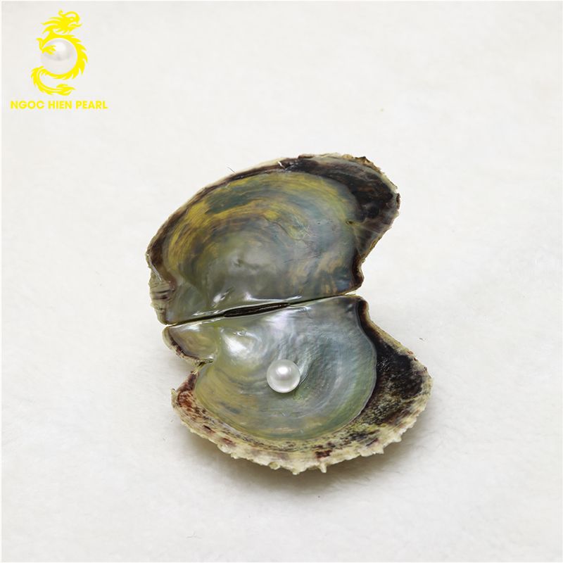 Ngọc Trai Akoya _ SP0008