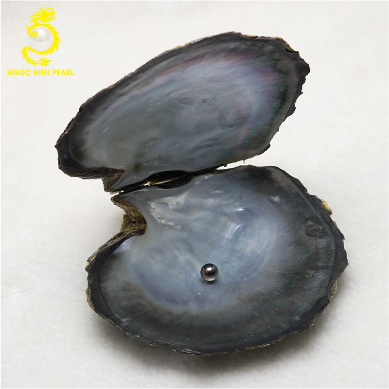 Ngọc Trai Tahiti _ SP0009