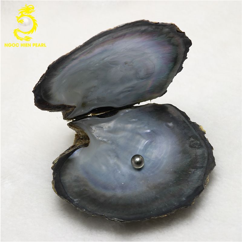 Ngọc Trai Tahiti _ SP0010