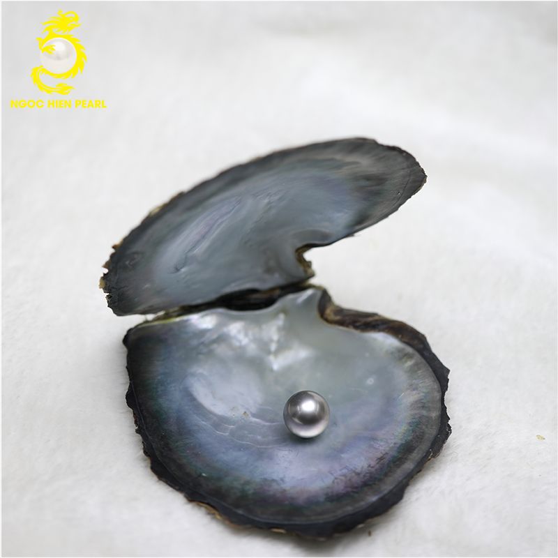 Ngọc Trai Tahiti _ SP0048