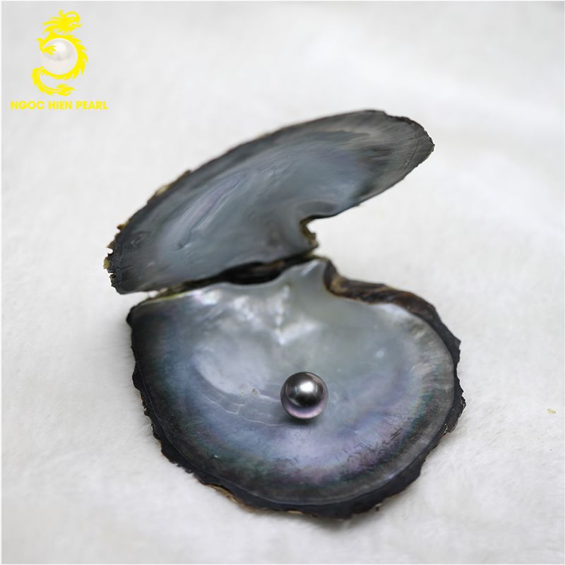 Ngọc Trai Tahiti _ SP0050