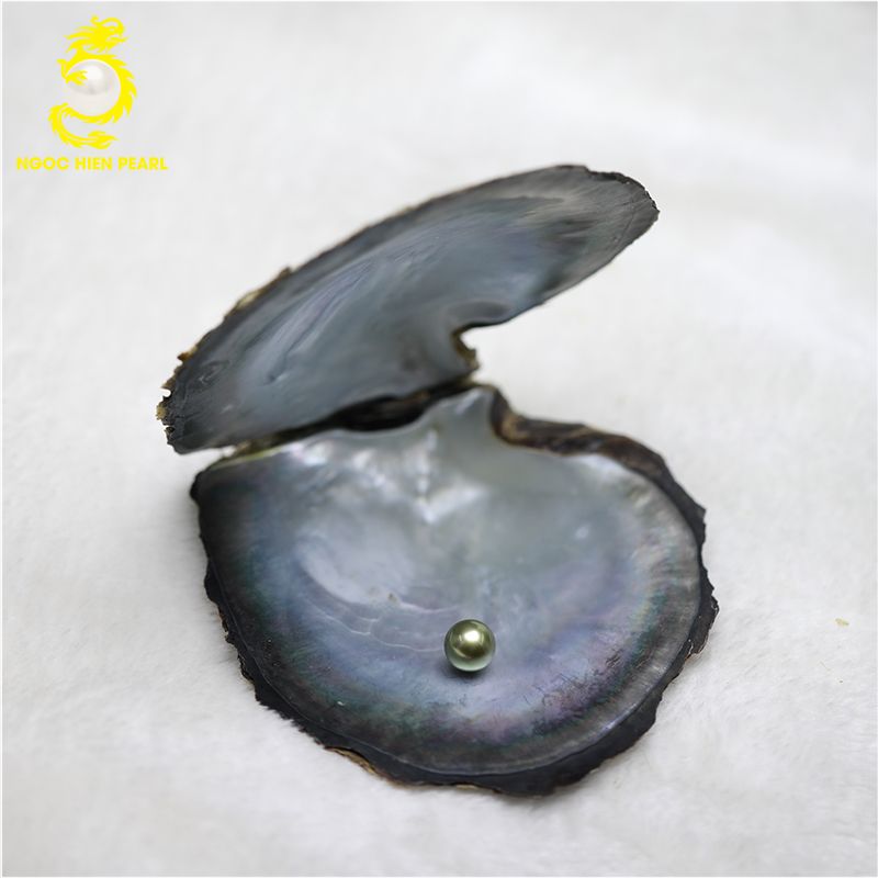 Ngọc Trai Tahiti _ SP0052
