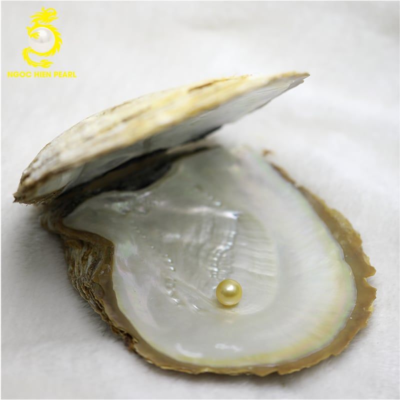 Ngọc Trai Southsea _ SP0055