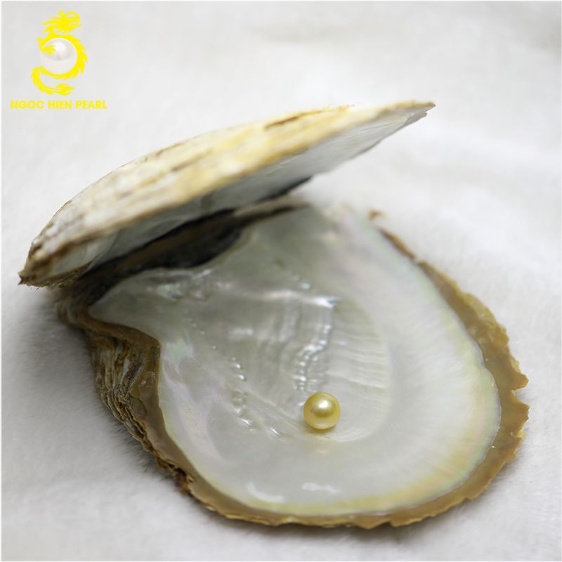 Ngọc Trai Southsea _ SP0055