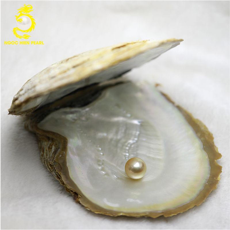 Ngọc Trai Southsea _ SP0056