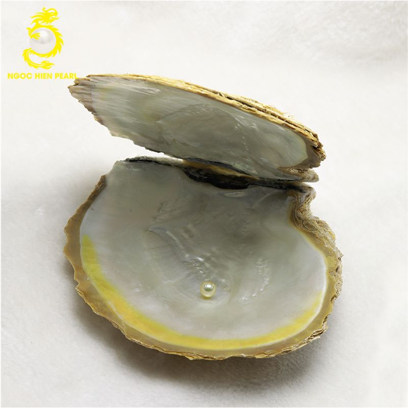 Ngọc Trai Southsea _ SP0267
