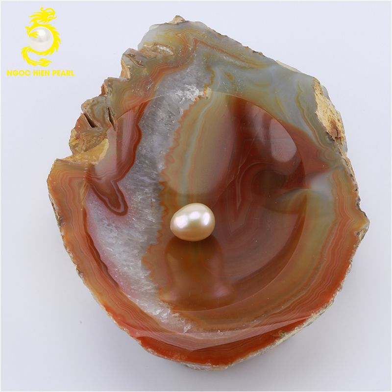 Ngọc Trai Nước Ngọt _ SP0441