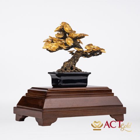 Quà tặng Tùng La Hán dát vàng 24k ACT GOLD ISO 9001:2015 (Mẫu 4)