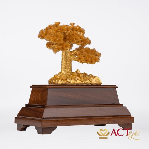 Quà tặng Tùng La Hán dát vàng 24k ACT GOLD ISO 9001:2015 (Mẫu 5)