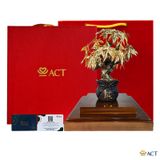 Quà tặng Chậu Cây Kim Ngân dát vàng 24k ACT GOLD ISO 9001:2015