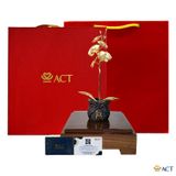 Quà tặng Chậu Lan 1 Cành dát vàng 24k ACT GOLD ISO 9001:2015