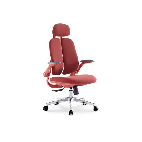  Ergonomic Office Chair  RX7211 