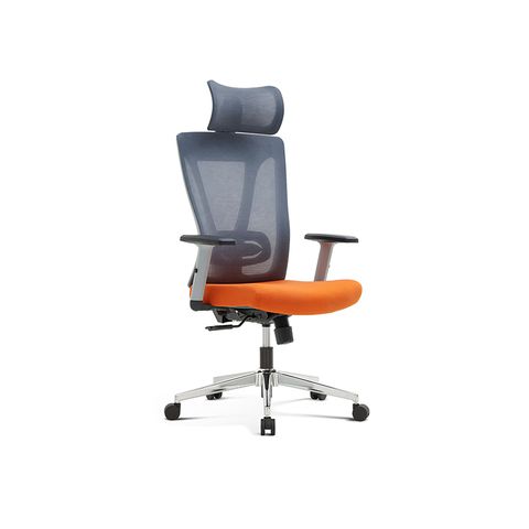  Ergonomic Office Chair RX208 