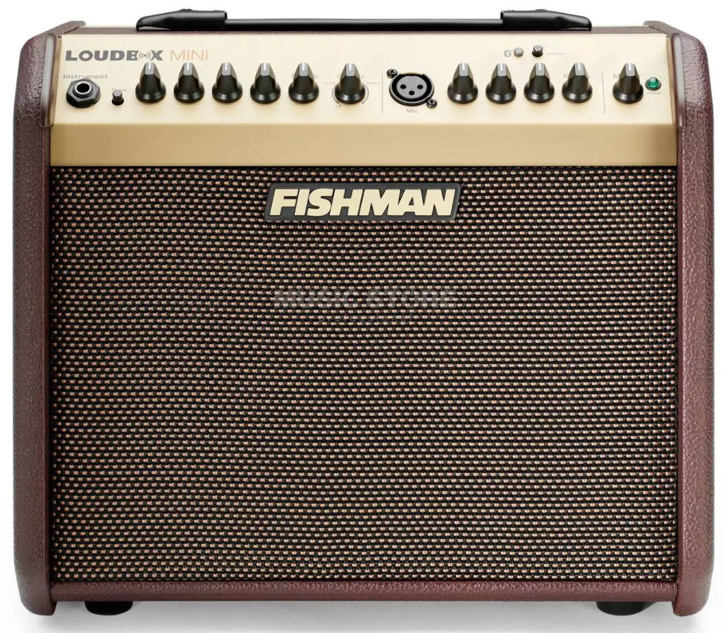 Fishman - Loudbox Mini
