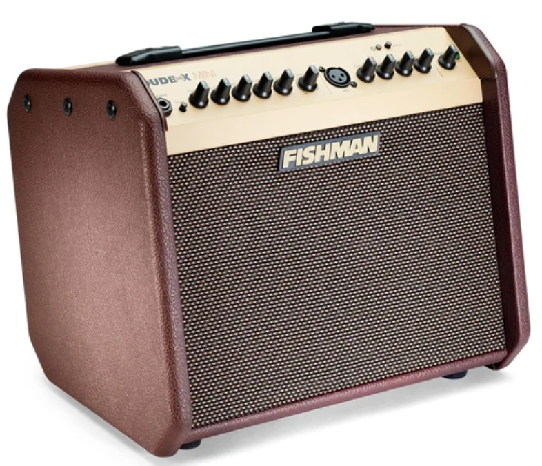  Fishman - Loudbox Mini 