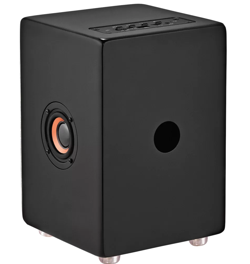 Meinl Mini Cajon Speaker