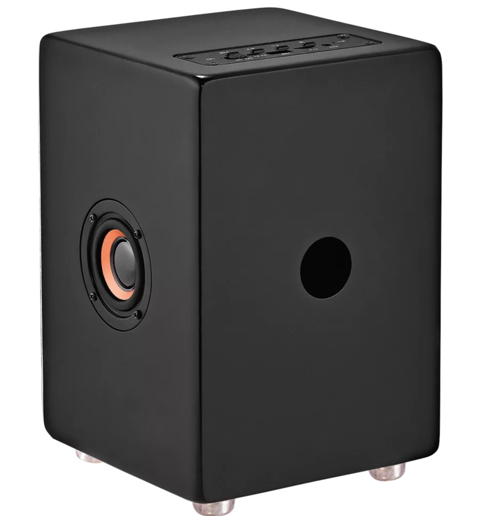  Meinl Mini Cajon Speaker 