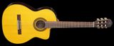  Takamine Đàn Guitar Acoustic  GC5CE-NAT 