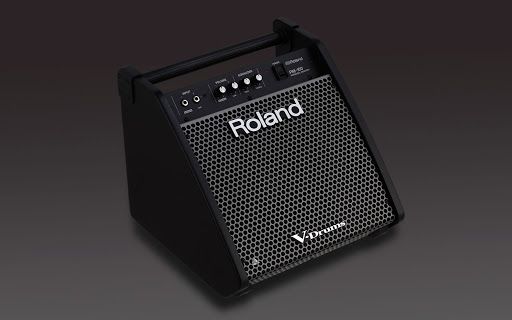 Roland Pm-100