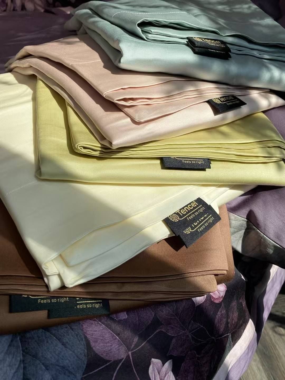 Set Chăn Ga Tencel 120s Chingsuan Micro - Màu 1
