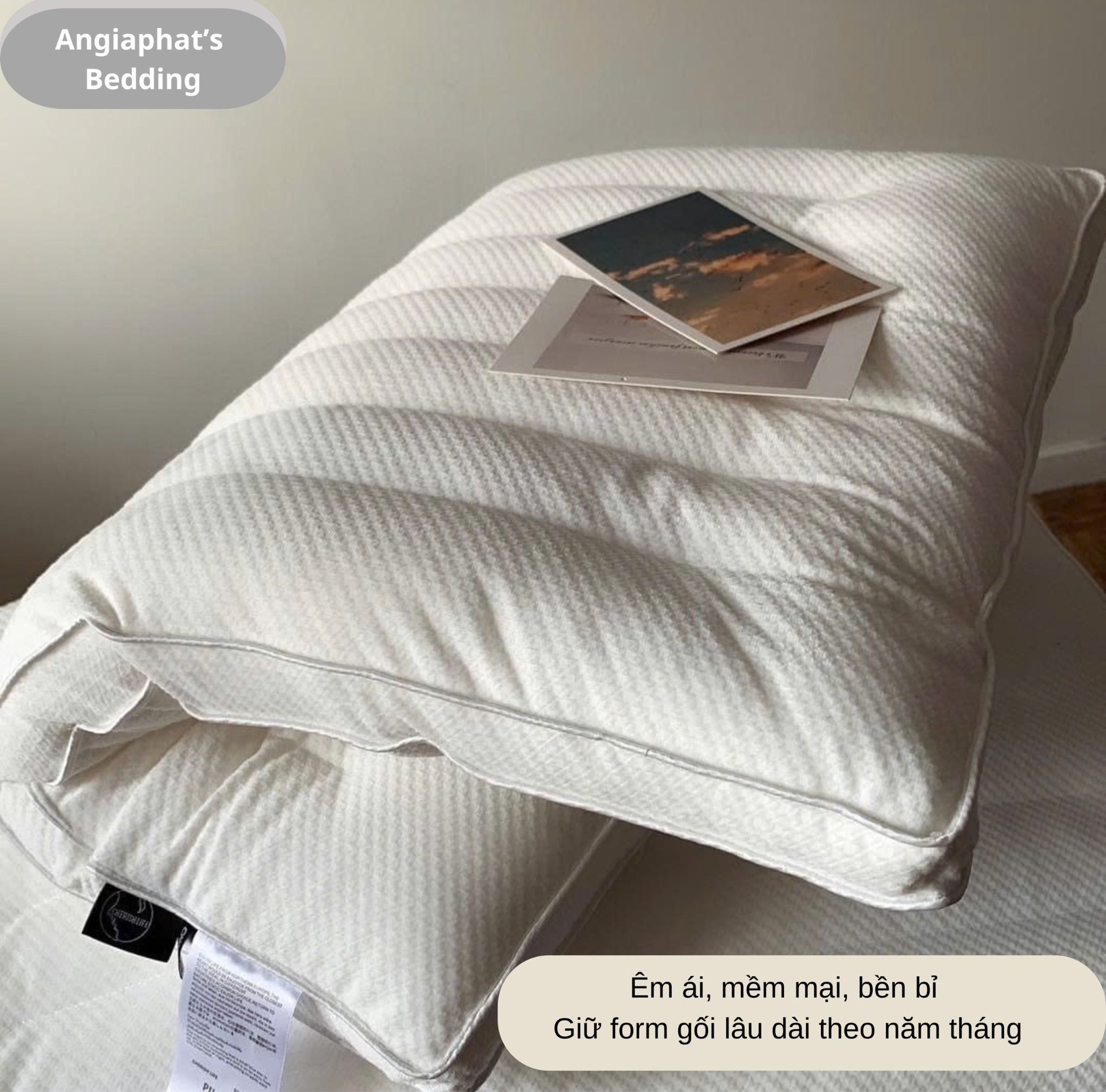 Ruột Gối Thấp 5Cm